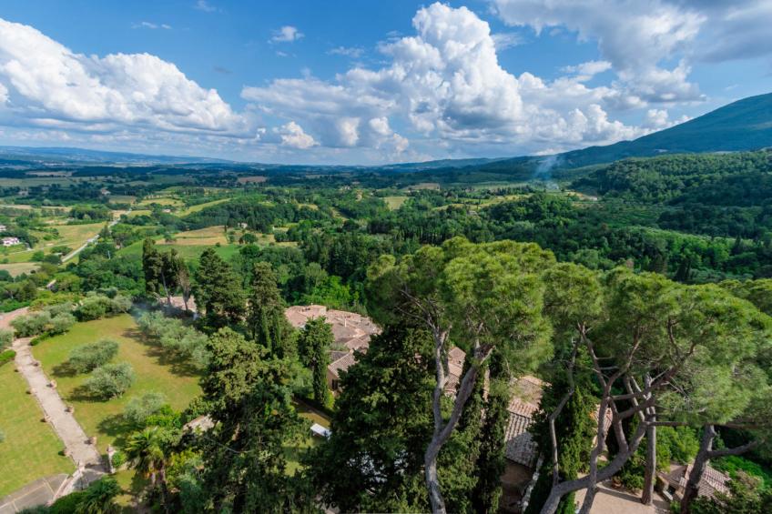 Rocca di Cetona - a Medieval Castle - foto 97