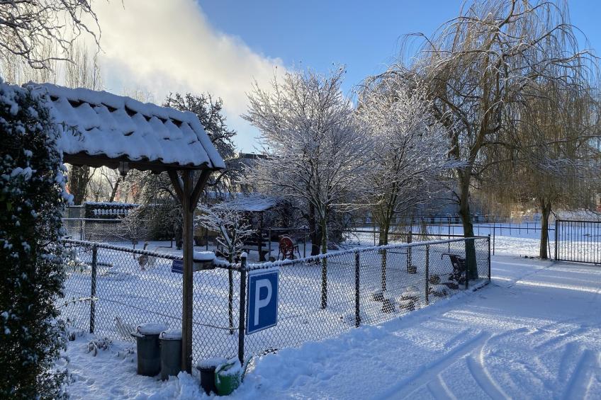 De Hofstede - foto 17