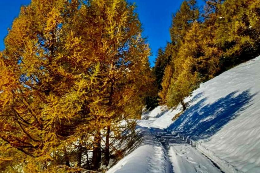 Chalet Kristall - foto 21