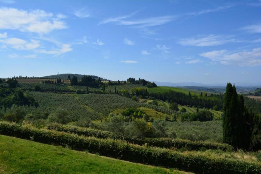 Toraio - foto 33