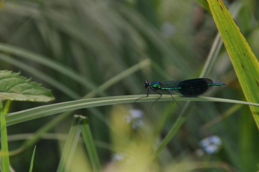 Rosalie - Ruhig - Zentral - Hochwertig - foto 27