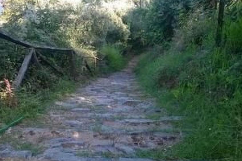 Dimitris Studios mit Balkon 2-3 Pers # B4 - foto 22