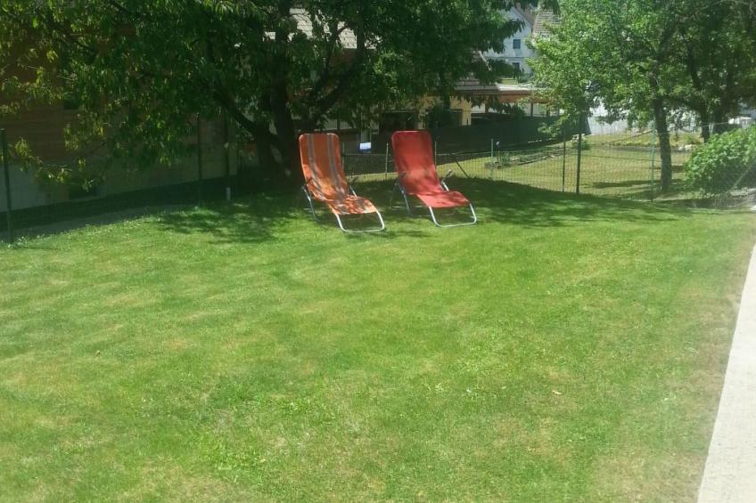 Johanna in Dreulach - foto 14