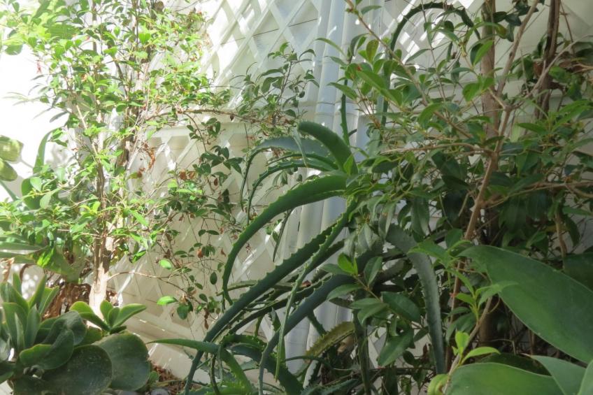 Strandhauswohnung mit Wasserblick - foto 24