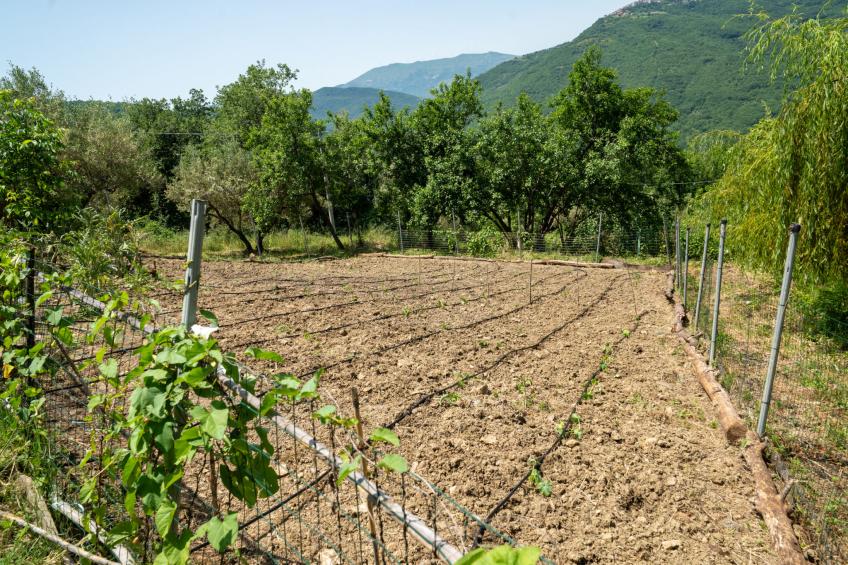 Nonna Gemma - foto 24