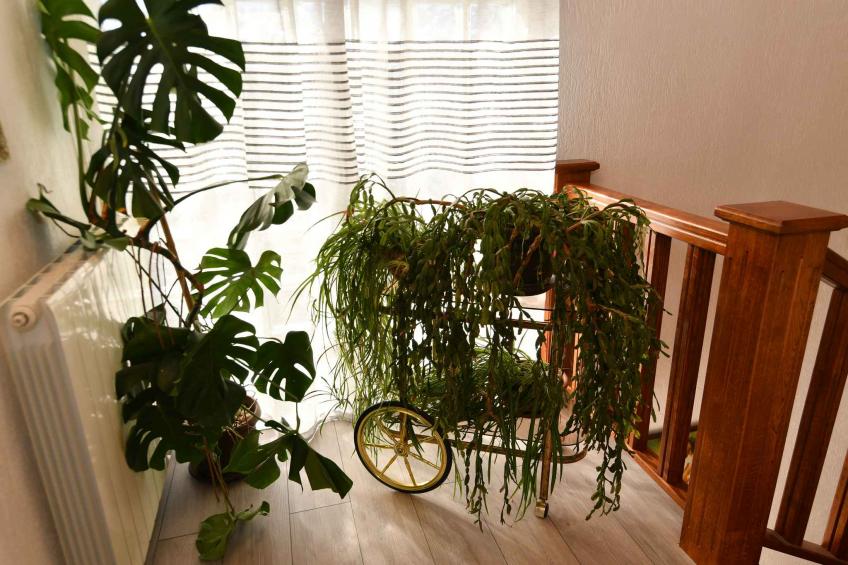 Vakantiewoning met airconditioning - BF-66BR - foto 25