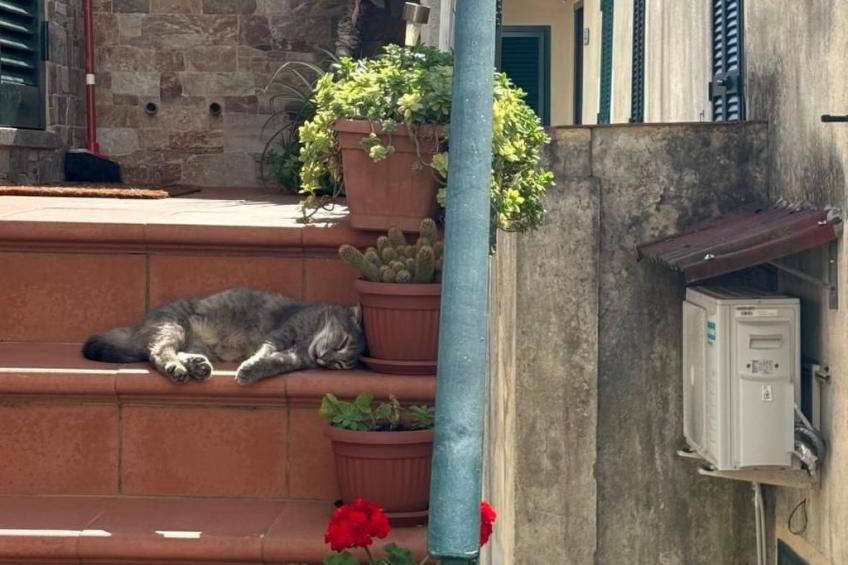 Wohnung 'The Blue Octopus' mit Blick aufs Wasser - foto 46