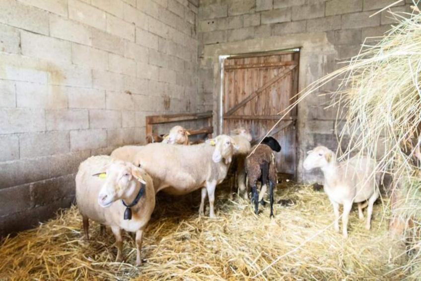 Gîte de France Gîte de la grangette 5/6 personnes 3 épis - foto 38