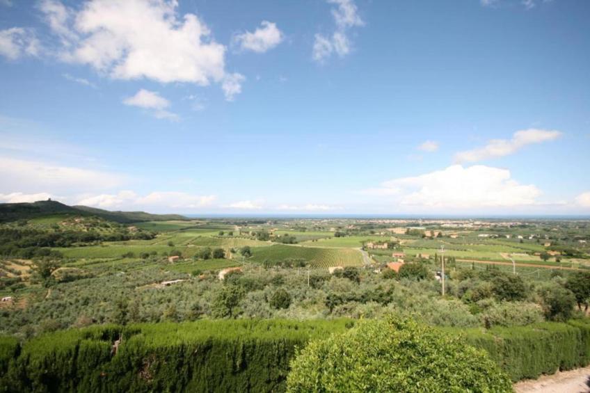 Castagneto1 - foto 31