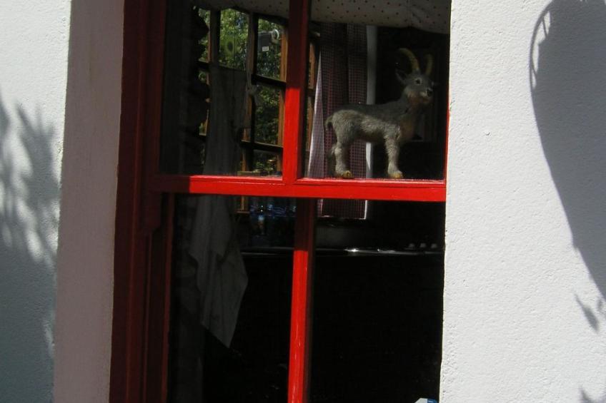 Minie's Cottage Wild Atlantic Way - foto 5