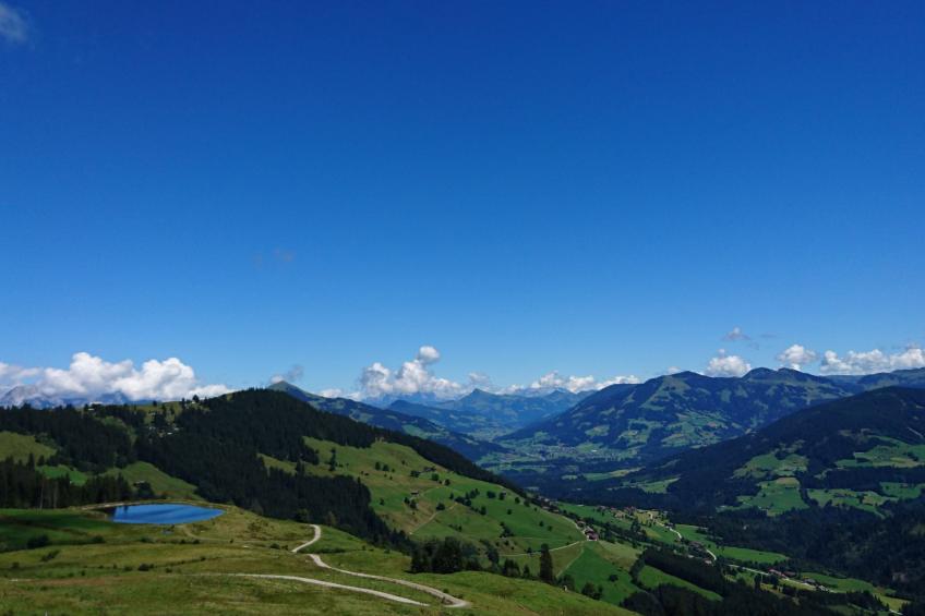 Aparthotel Iris - foto 18