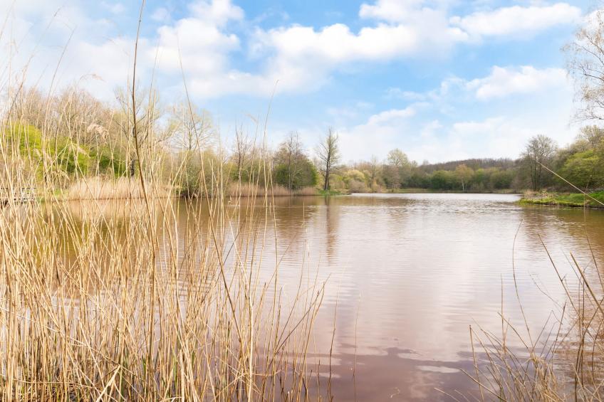 Okken House 3A - foto 24