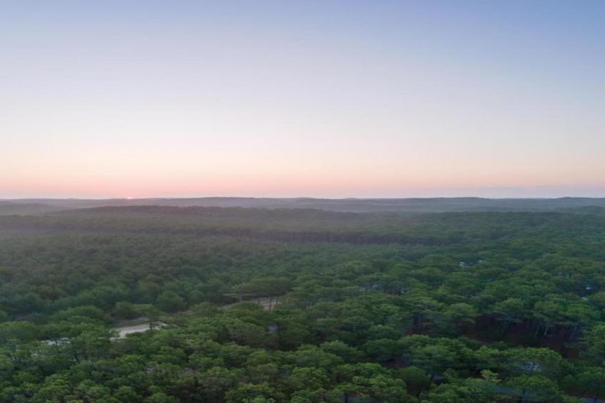 VC02/8 - Villa Castiglioni - foto 37