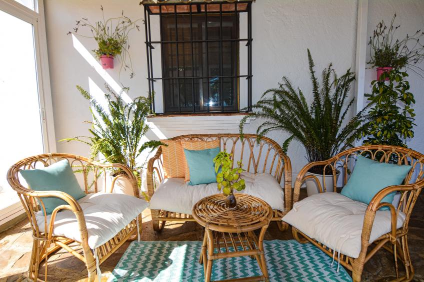 Finca las Chozas - foto 16