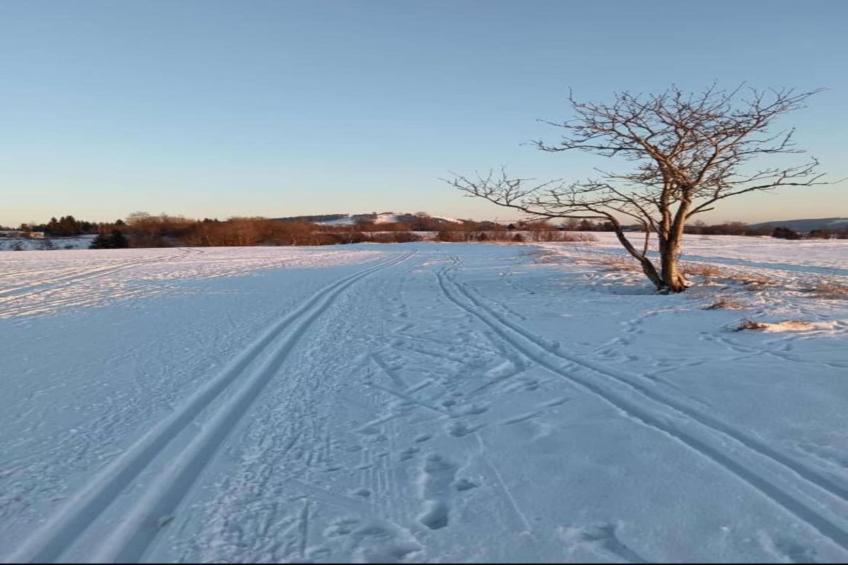 Ferienhaus Anna - foto 27