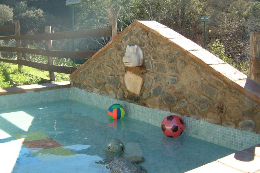 La Cigüeña - foto 12