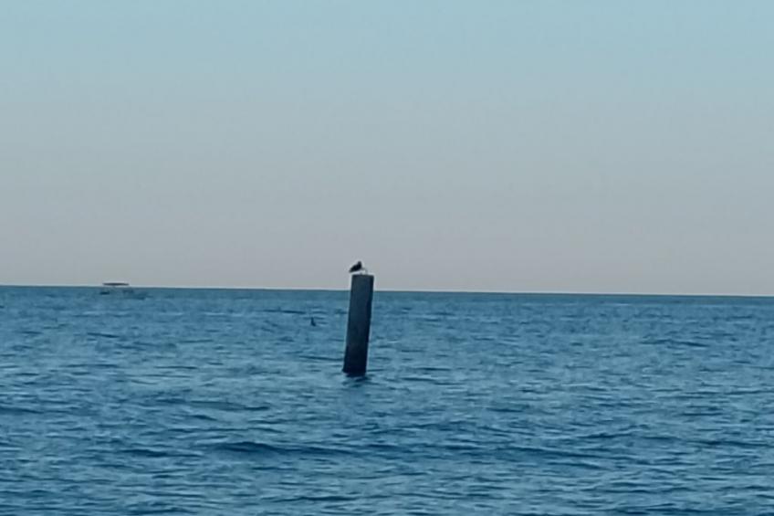 Wohnung "Riviera del Conero - foto 15