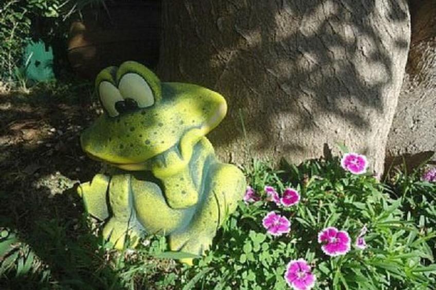 Schönes Ferienhaus in Prazeres - foto 14