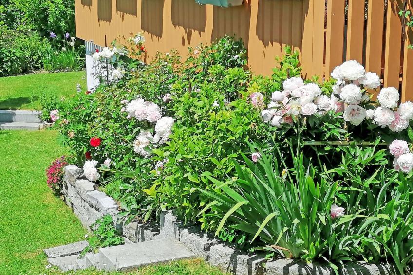 Ferien-Apartment - foto 14