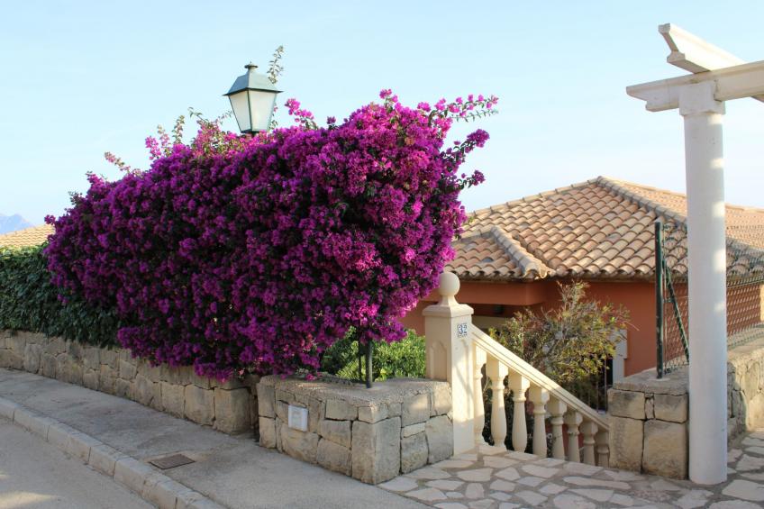 Villa SOL 32 - foto 38