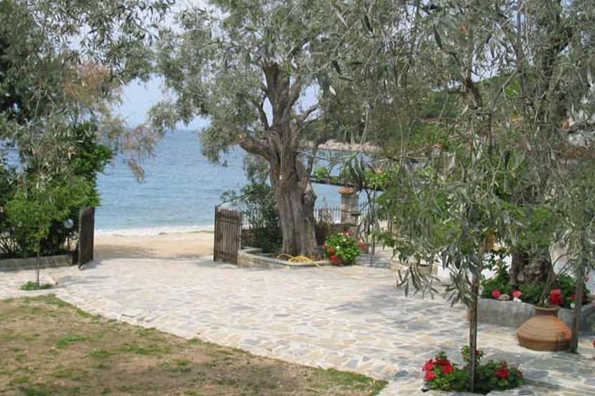 Niki Studios 1 - foto 10