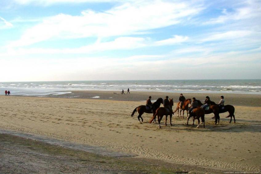 SEASIGHT - 91 - foto 23