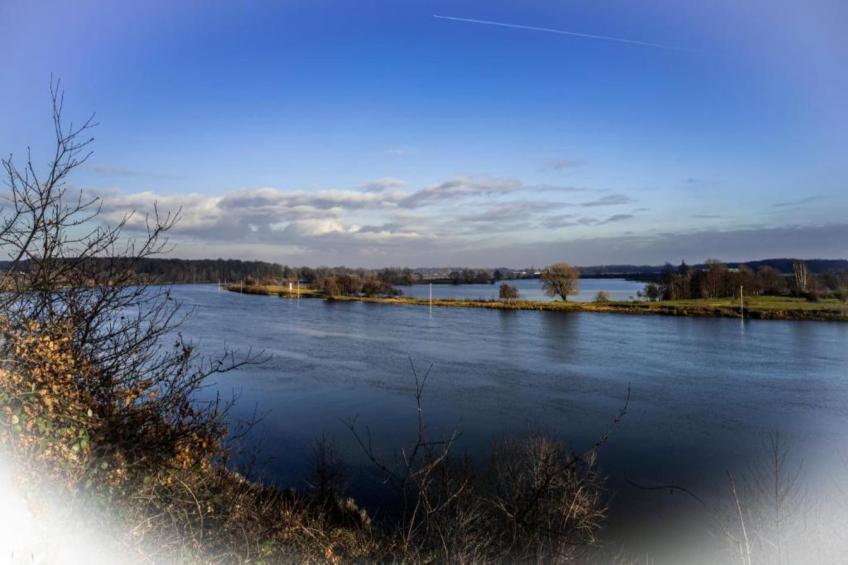Buitenhof De Leistert - foto 38