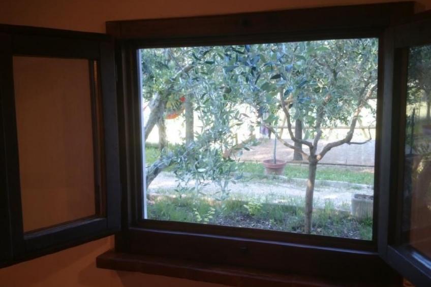 Studio  BUBO  - Pool - Ausblick- Kunst - foto 19