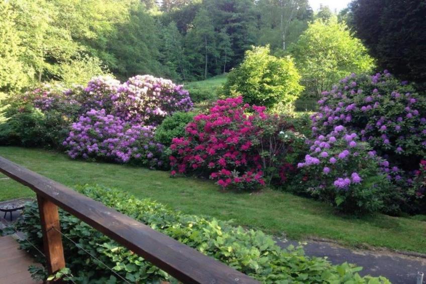 Le Nid du Crâ - foto 34