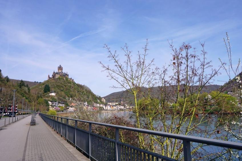 190481 - foto 6