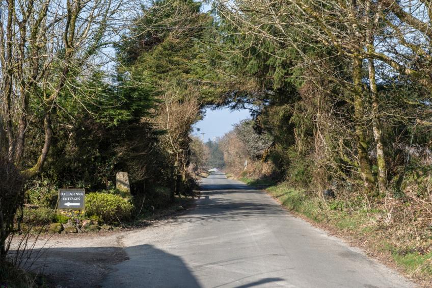 Trippet Cottage at Bodmin Moor - foto 7