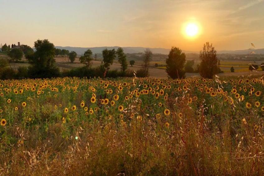 Villa Lena - foto 29