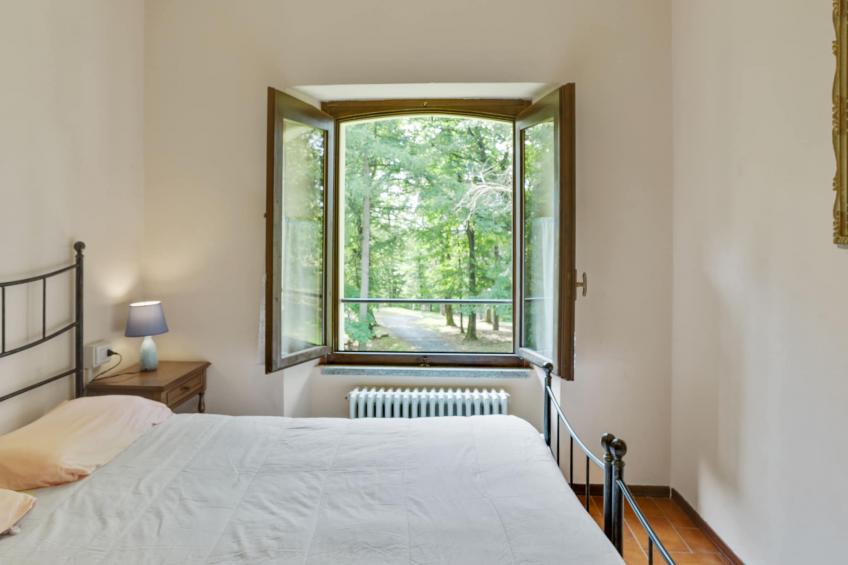 Rododendro - foto 16