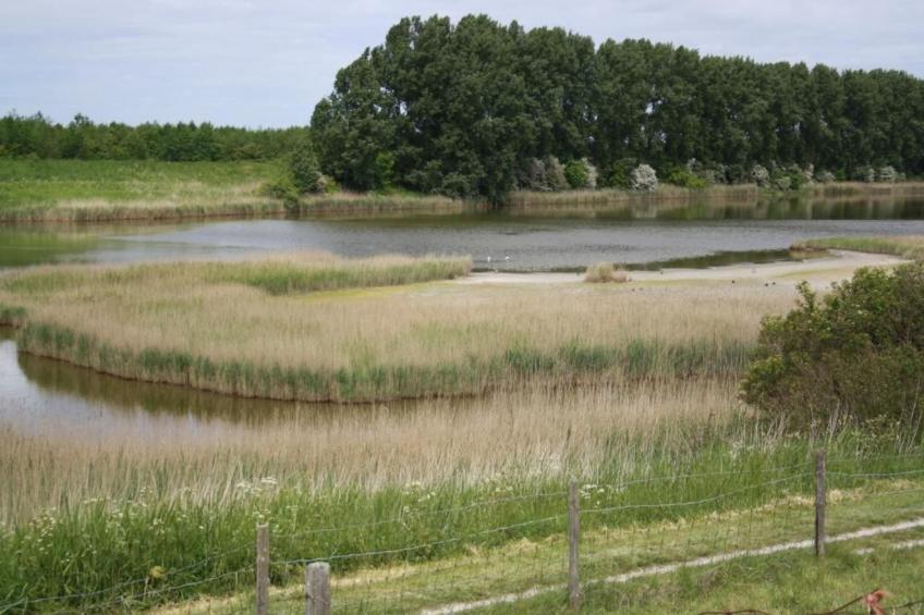 De Meerkoet - foto 32