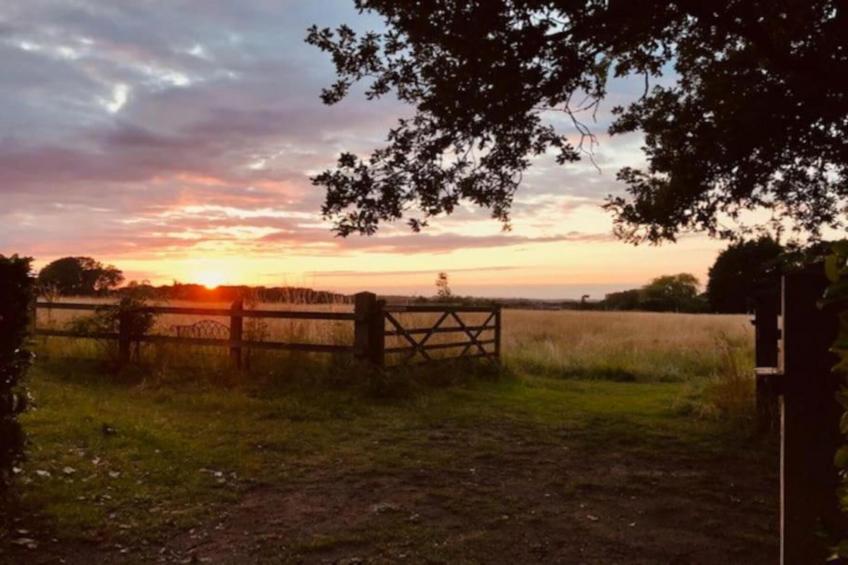 Bulrush Bell Tent - foto 17
