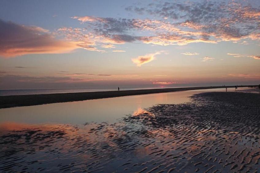 Chalet - Camping de Duinhoeve 'Bosdier' - foto 29