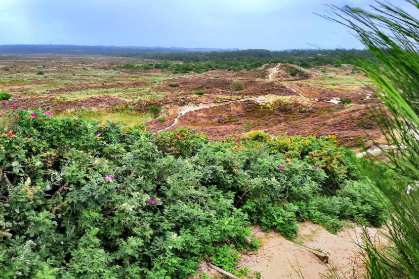 MOTEL UDSIGTEN - foto 16