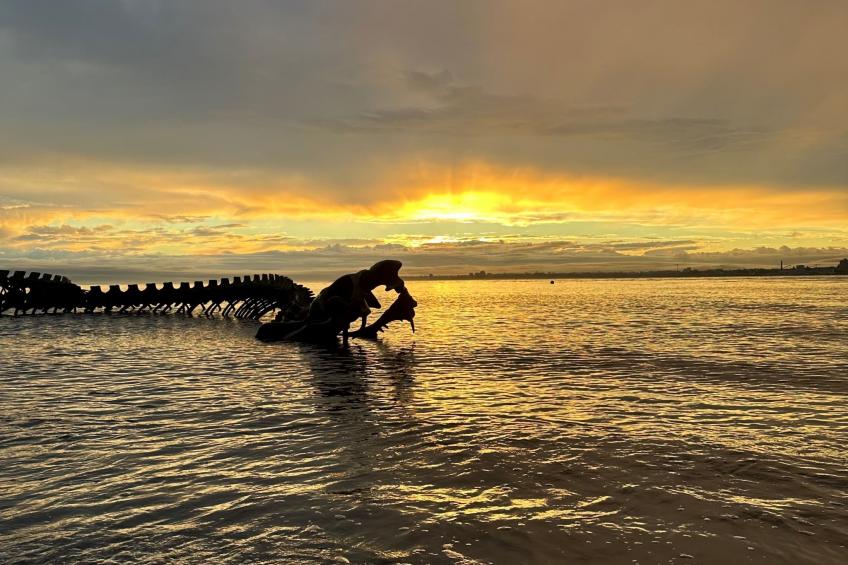 Mer & Soleil - foto 18