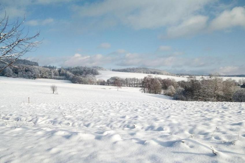 Apartament Nemojov B - foto 37