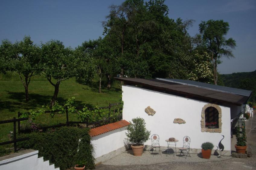 Kuckucksnest - foto 2