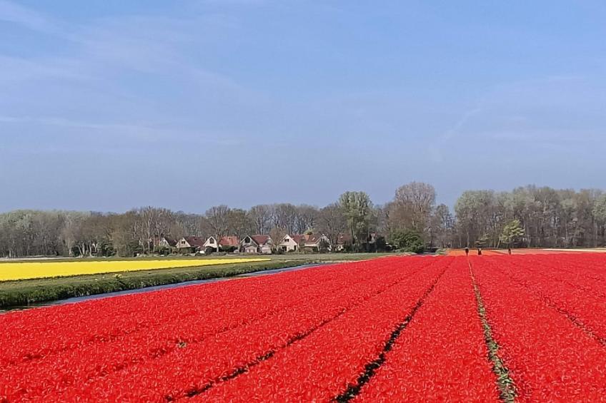 Buitenplaats Witte Raaf aan Zee - foto 15