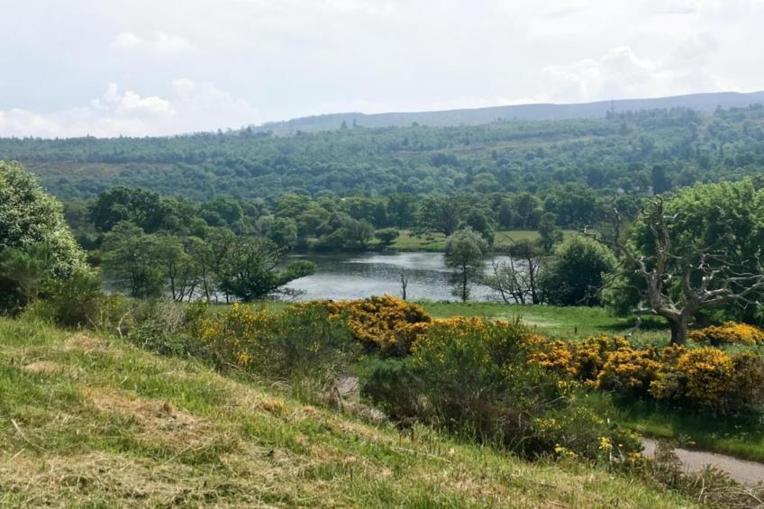 The Bakers Hut - foto 25