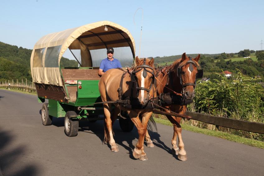 Eifelpark Kronenburger See 9 - foto 29