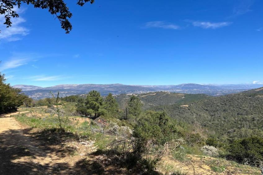 La Bastide des Chênes - foto 35