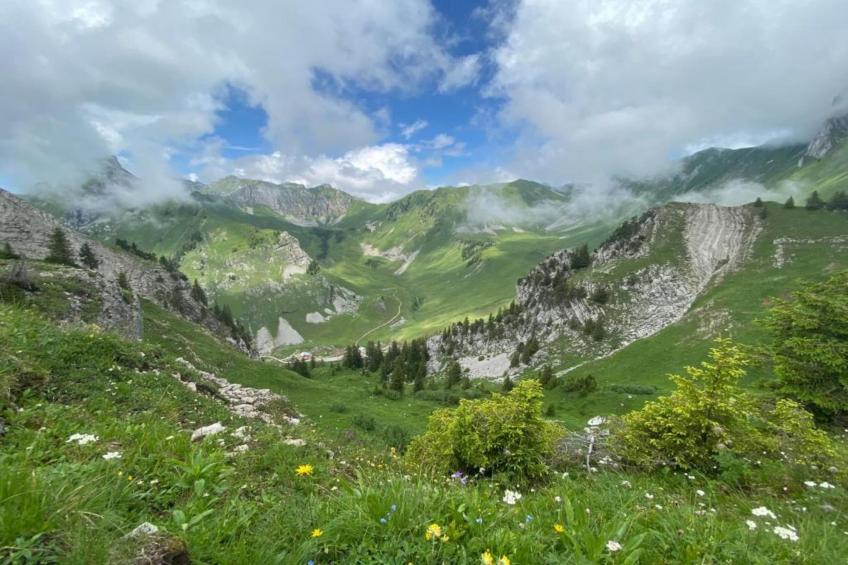 Chalet Montjoie - foto 36