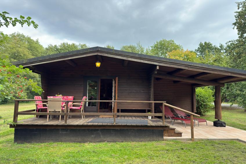 Lüneburger Heide - foto 40