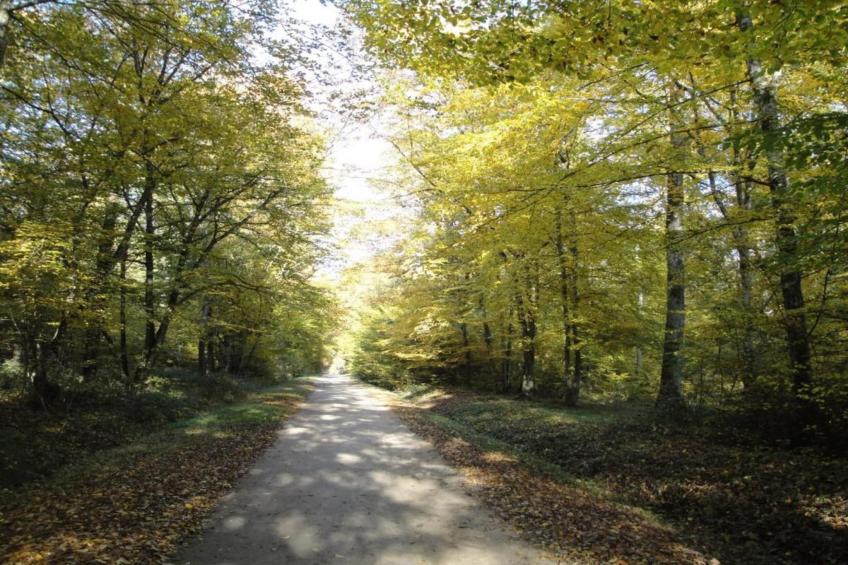 Maison de vacances - CHILLEURS-AUX-BOIS - foto 31