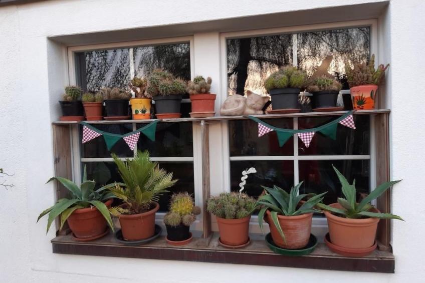 Haus Chrumis - foto 8