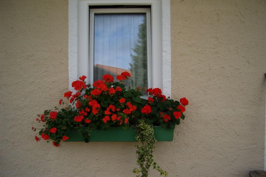 Betttis Bungalow - foto 18