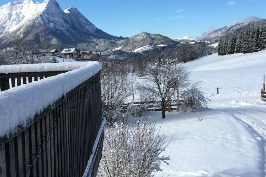 Erhöhte und ruhige Lage am Ortsrand von Bad Aussee - foto 8